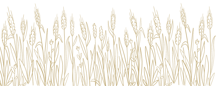 Wheat field graphic